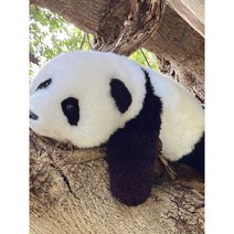 판다곰 장식 곰인형 말랑말랑 수면 봉제 애착인형 팬더 동물 선물 테디, 03 엎드린 자세 (생후 3개월)