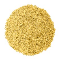 동의한재 백개자 백계자 백겨자 겨자씨 3kg, 단품