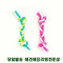 삑삑이 분리불안장난감 강아지혼자있을때 강아지집에혼자 반려동물장난감, 3개, 메론