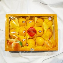 (명절선물세트) 황금향 3kg 고급 선물세트 7-16과