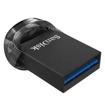 SOI 샌디스크 울트라핏USB 3.1 512G, 단일옵션
