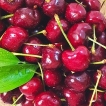 [항공직송] 로얄 사이즈 새콤달콤 아삭한 고당도 생 체리, 2kg