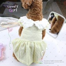댕댕이 편한옷 강쥐 봄 강아지 베들링턴테리어 빠삐용강아지 삽살개 파티푸들 소형견 파티푸들 케이프원피스, 퍼플