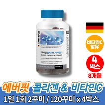 젤리타 독일 수입 맛있는 콜라겐 구미 츄어블 젤리 콜라젠 피시 생선 콜라겐 FISH COLLAGEN 비타민C, 4박스