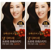 댕기머리 포르테 한방칼라크림 동백유 함유 한방 염색약 2개, 흑갈색, 2개+마술패치2매