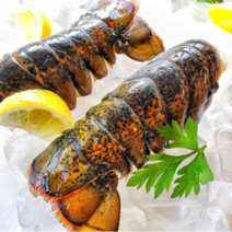 캐나다 랍스터 테일 1마리 바닷가재 냉동 꼬리 버터구이 요리, 1개