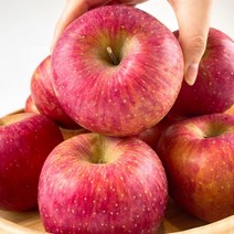 고당도 경북 청송 사과 햇 부사 정품 흠과 혼합 가정용 5kg 중과(17-18과)