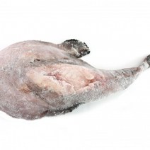 통아귀 10kg 20kg 업체용 식당용 업소용, 1개