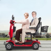 4륜스쿠터 전동스쿠터 어르신전동차 삼륜전기오토바이 스쿠터 장애인 오토바이 배터리 자동차, 2.[특가]12Ah납산약40마일250W, 24V