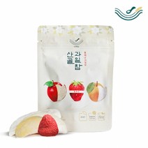 [산골이유식]산골과일참 통째로과일칩 5봉, 단품
