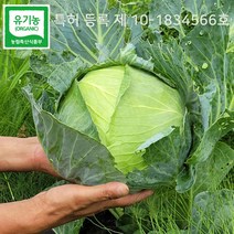 유기농무농약양배추 추천 순위 베스트 30