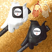 (타이틀리스트 재팬 최신 정품) 프로 양피장갑 - 2개 구매시 건조기 증정, 블랙