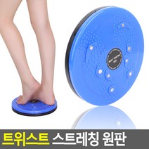 허리 스트레칭 발바닥 지압 트위스트 회전판 원판, 단품