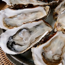 산지직송 통영 석화 생굴 5kg 10kg, 통영 석화 생굴 10kg