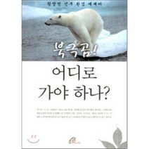 북극곰! 어디로 가야 하나? : 황창연 신부 환경 에세이, 바오로딸, 황창연 저