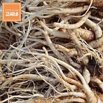 지앤제이 고씨네 약도라지2kg 도라지 생도라지 야산재배도라지, one color, free