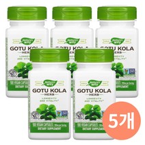 네이처스웨이 고투콜라 GotuKola 파슬리 허브 950mg 100베지캡슐 X 5병