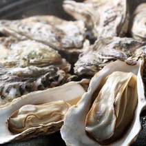 봄여름 제철 통영멍게 비단 가리비 삼배체 굴구이찜 외, 1box, 석화5kg