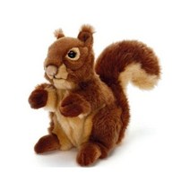 Teddykompaniet forrest Animals Squirrel 23cm Plush Soft Toy