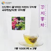 4대항암약초 꾸지뽕 여성건강 뼈건강 당뇨개선 꾸지뽕차 100티백 3봉