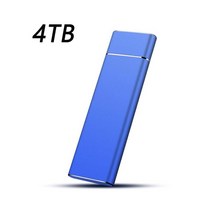 문틀 철봉 가정용 실내 휴대용 SSD 하드 드라이브 6TB 8TB 4TB 2TB TB 500GB 고속 외장 M.2 B 3. 인터페이스 대용량 저장, 20 4TB Blue, 한개옵션1