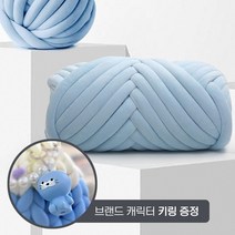 JOYU&I 프리미엄 도톰 벨벳 자이언트얀 500g (+캐릭터 키링 증정), 스카이블루