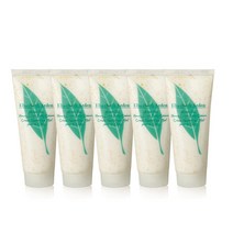 [엘리자베스아덴]그린티 허니드롭스 바디크림 스페셜(100ml 5개), 단일속성