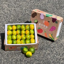 [위드봄] 제주 하우스 감귤 3KG 선물세트