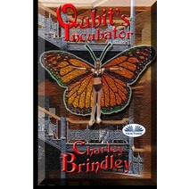 Qubit`s Incubator Paperback, Tektime, English, 9788835412137