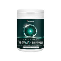 가성비 WPH WPC 유청단백 프로틴 1통 단백질쉐이커