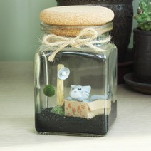 벅스앤미 마리모키우기 코르크병세트 (고양이)