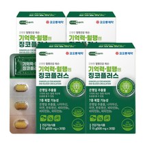 코오롱제약 간편한 혈행 건강 개선 두뇌 기억력 혈행엔 징코플러스 비타민B군 500mg 30정
