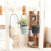 분갈이 편리 경량 걸이용 미니 화분 색상랜덤 다육화분 카페소품 식물기르기 새싹키우기 탁상용 실내식물