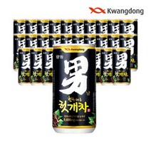 광동제약 헛개차