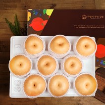 나주배 5kg/7.5kg 선물세트, 7.5kg 7-10과 가정용