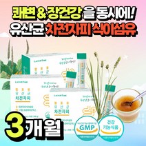 차전자피 식물성 식이섬유 인도산 샐러드에 뿌리는 가루 먹기편한 물에 타먹는 분말 프락토 올리고당 귀리 혼합 유산균 차전피 차전자 가루형 파우더 스틱 30대 40대 여성 추천, 3개월분*3통*