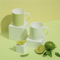 라임 머그컵 2종 세트, 혼합색상, 5세트
