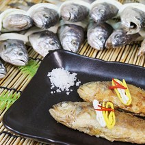[순이네마켓] 국내산 100% 명절선물 법성포 영광굴비, 선물포장, 1.2kg, 1개