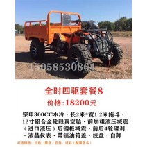 마카롱 ATV 4륜 오토바이 사발이 다목적 운반차 양동이가 있는 전천후 4륜 구동 빅 불 화물 상자가 있는 4륜 오토바이 농업용 차량 350CC 농부, 패키지 8