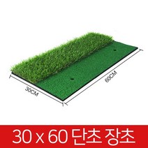개인골프연습장 스윙 연습매트 30x60 러프잔디 티증정 No. 39132EA, 03 러프잔디