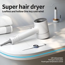 슈퍼 헤어 드라이어 차이슨 드라이기 가벼운 저소음 음이온 프리미엄 헤어 드라이어, 한국, 로즈 1 부품