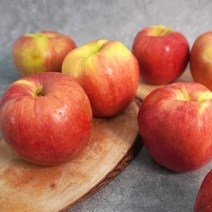 [더조은푸드] 새콤달콤 경북 햇 홍로 사과 (실속형) 10kg, 1박스, 경북 햇 홍로 사과 (실속형) 10kg 34-38과