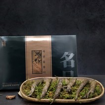 더덕 강원도더덕 산더덕 야생더덕 생더덕 더덕의효능 자연산더덕 더덕뿌리 명품더덕 사포닌 더덕선물 세트 사포닌 더덕구이 더덕무침 더덕주스, 1개