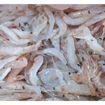 생새우 김장용 김치용 동백하 4kg, 1개