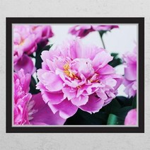 ps362-부를부르는풍수작약꽃_창문그림액자, F타입러블리베이지