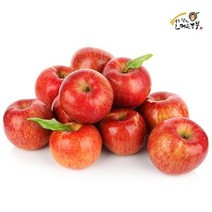 아침이슬사과 경북 맛있는 22년 새콤달콤한 햇 부사 가정용사과 주스용 사과 8KG 10KG, 1박스, 00_경북 쥬스용 부사 10kg