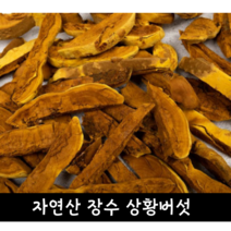 [국내산/국산] 자연산 장수 상황버섯 특품 절편 100g 자연재배 노화방지 베타카로틴 리놀레산 눈에좋은 약재 버섯 상황 상황버섯차 말린 건조, 1개