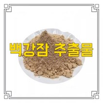 소율국제 백강잠 누에나방 고농축 추출물 분말, 30:1, 500g, 1개