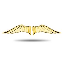 호환 자동차엠블럼 튜닝 스티커 자동차 천사 날개 독수리 데칼 개성 변형 액세서리 스티커 3D 입체 금속, 02 a pair Gold