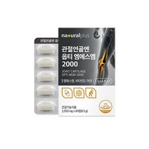 내츄럴플러스 관절연골엔 옵티 엠에스엠 2000, 01. 60정, 2개